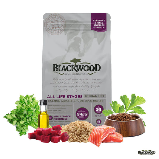 Blackwood Alimento para Perro de Piel y Estómago Sensible con Salmón y Arroz Integral