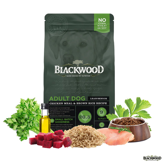 Blackwood Alimento para Perro con Sobrepeso o Edad Avanzada con Pollo y Arroz Integral